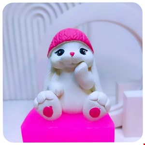 قالب سیلیکونی خرگوش کلاه دار