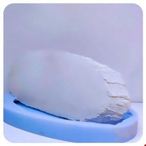 قالب سیلیکونی چوب پهن درختی