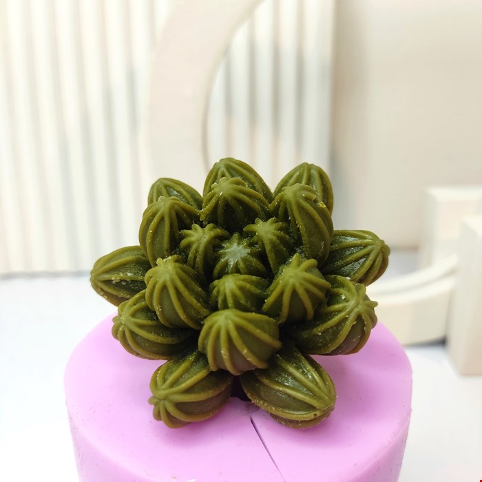 قالب سیلیکونی کاکتوس نوع 1