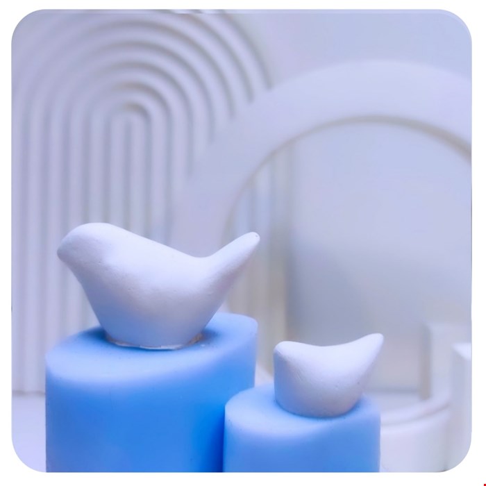 قالب سیلیکونی مرغ آمین