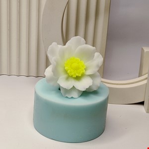 قالب گل شقایق