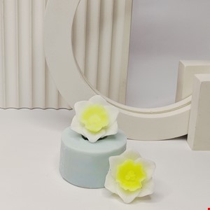 قالب گل نرگس