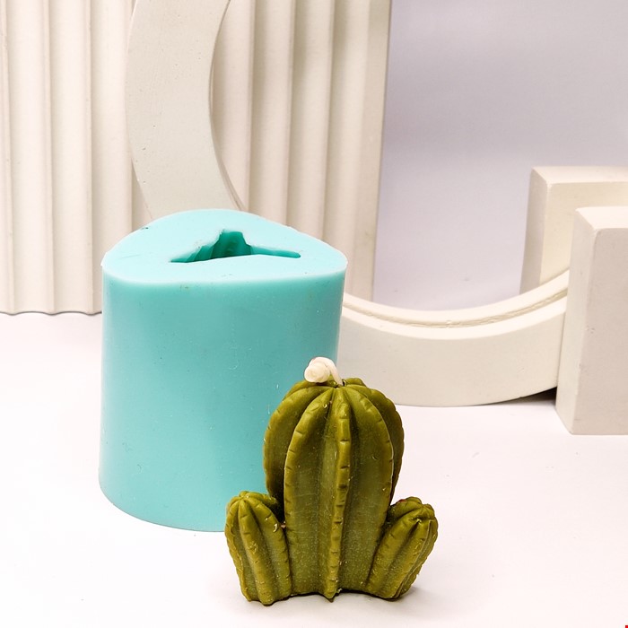 کاکتوس نوع 3