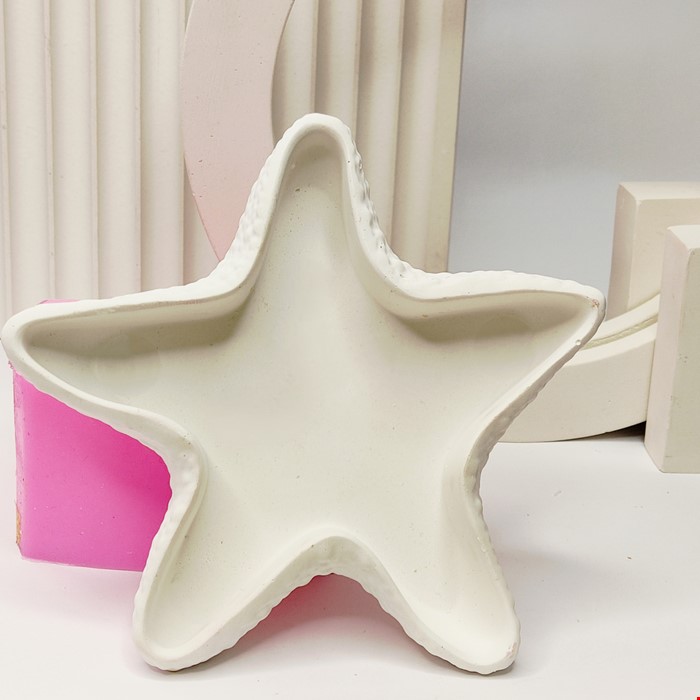 قالب ظرف ستاره دریایی