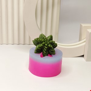 کاکتوس نوع 2