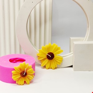 گل بابونه 2تایی