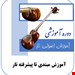 آموزش مجازی