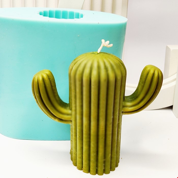 کاکتوس نوع 4