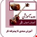 آموزش مجازی